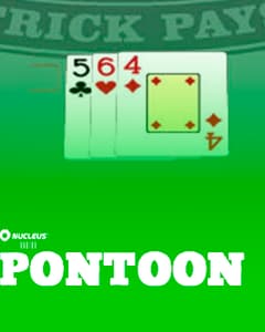 Pontoon 21