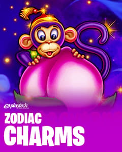 Zodiac Charms