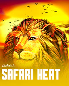 Safari Heat