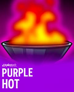 Purple Hot