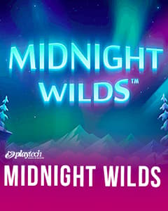 Midnight Wilds