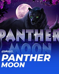 Panther Moon