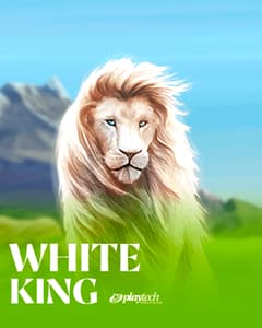 White King