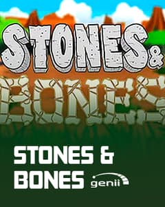 Stones and Bones