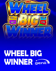 Wheel Big Winner