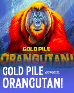 Gold Pile Orangutan!