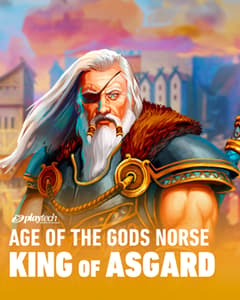 Age of the Gods: King of Asgard