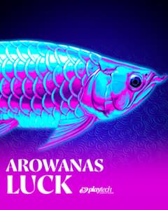 Arowanas Luck