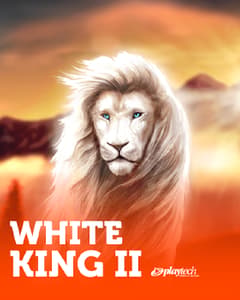 White King 2