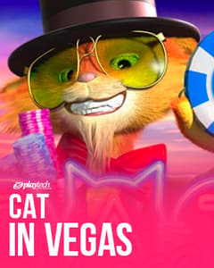 Cat in Vegas