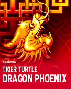 Tiger Turtle Dragon Phoenix