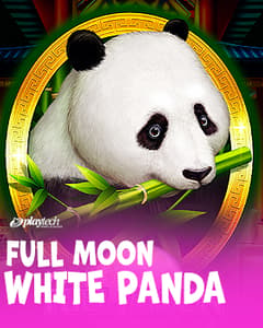 Full Moon White Panda