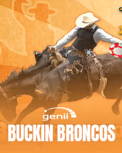 Buckin Broncos